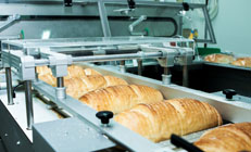 Processing Industry